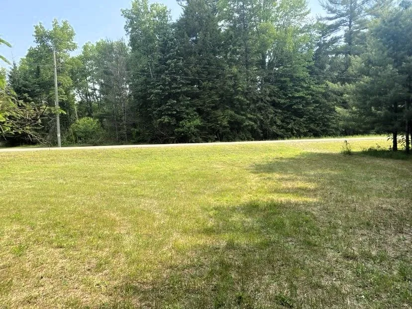 Old State Road Jordan Township, MI 49727