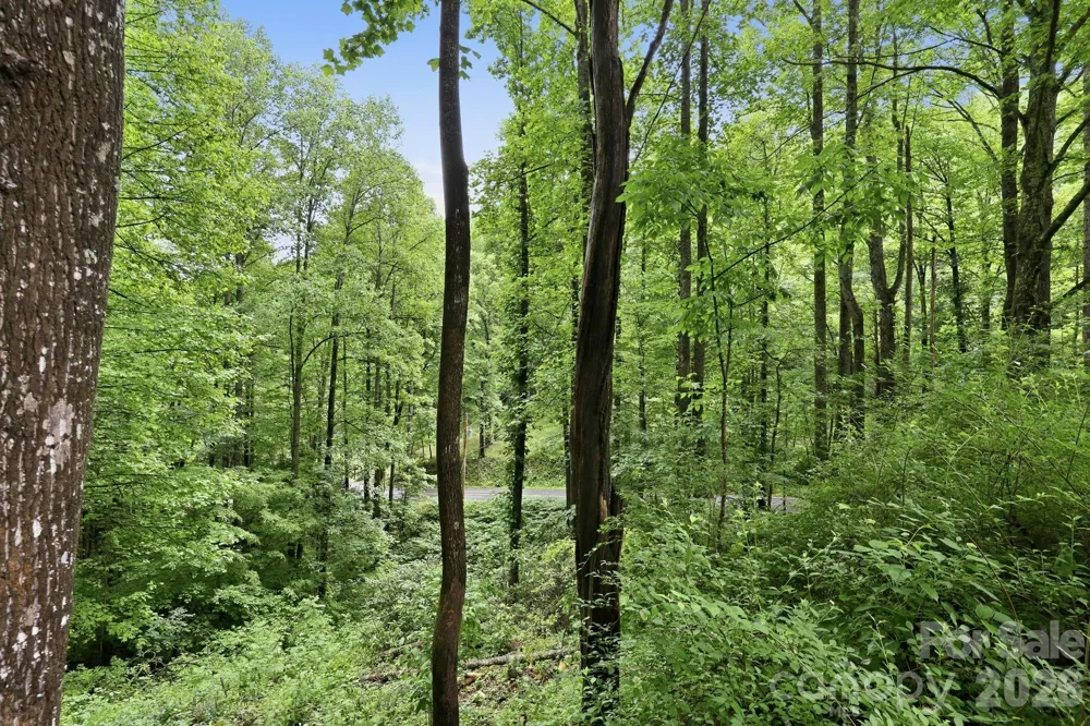 182 Saw Branch Road Candler, NC 28715