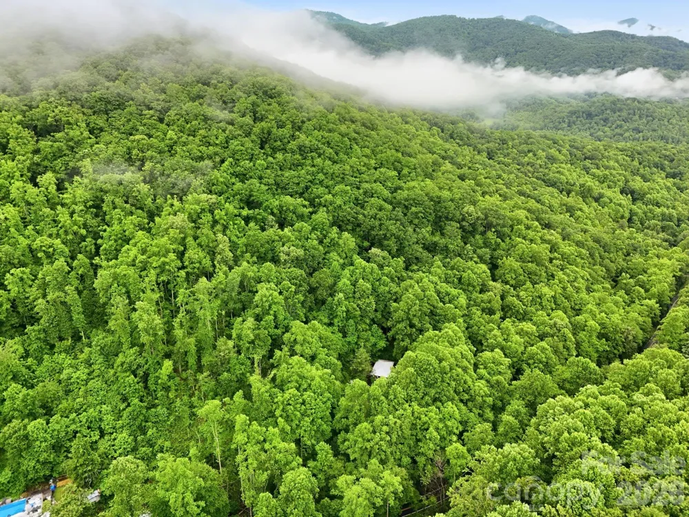 182 Saw Branch Road Candler, NC 28715