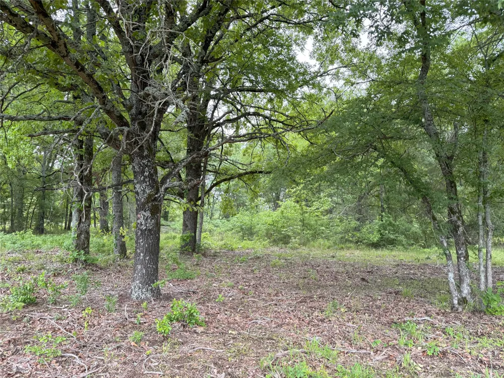 Rains County Road 2610 Alba, TX 75410