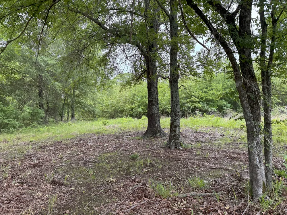 Rains County Road 2610 Alba, TX 75410