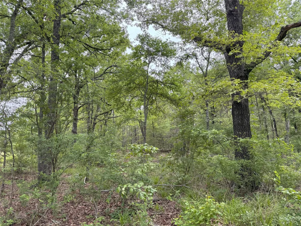 Rains County Road 2610 Alba, TX 75410