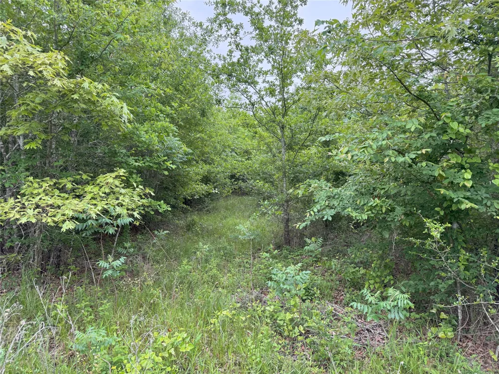 Rains County Road 2610 Alba, TX 75410
