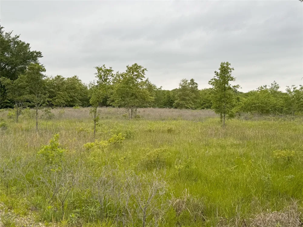 Rains County Road 2610 Alba, TX 75410