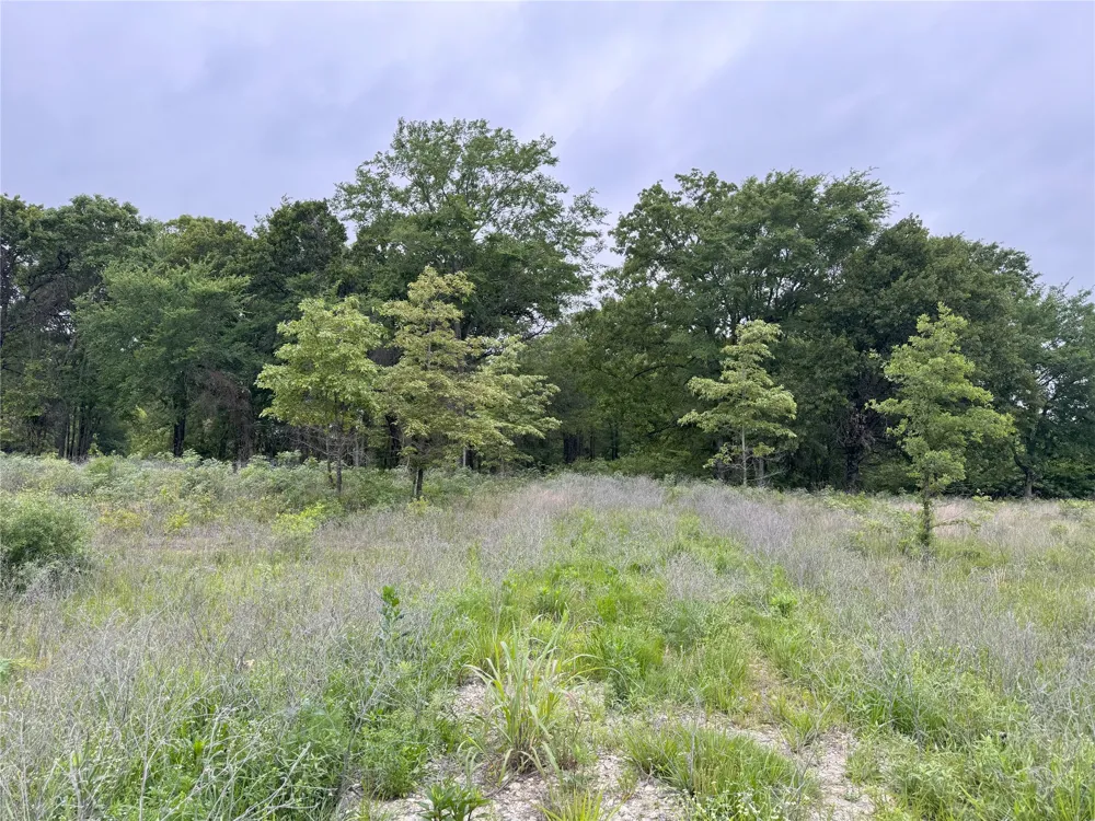Rains County Road 2610 Alba, TX 75410