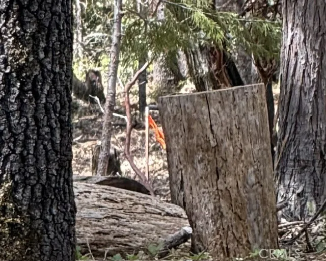 Platt Mountain Road Forest Ranch, CA 95942