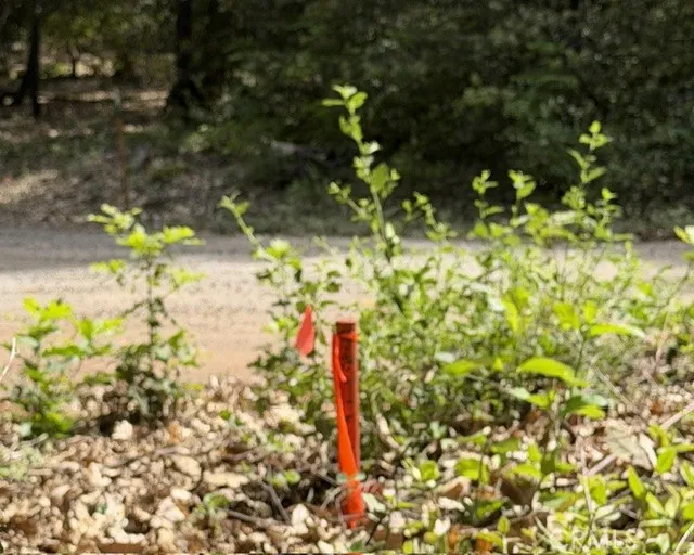 Platt Mountain Road Forest Ranch, CA 95942