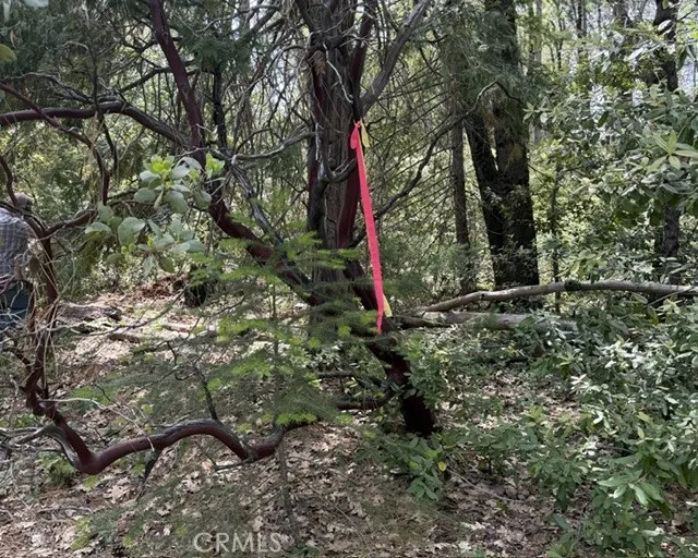 Platt Mountain Road Forest Ranch, CA 95942