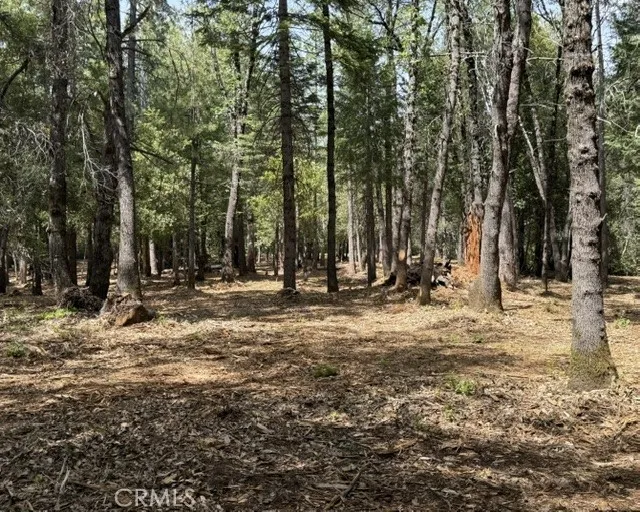 Platt Mountain Road Forest Ranch, CA 95942