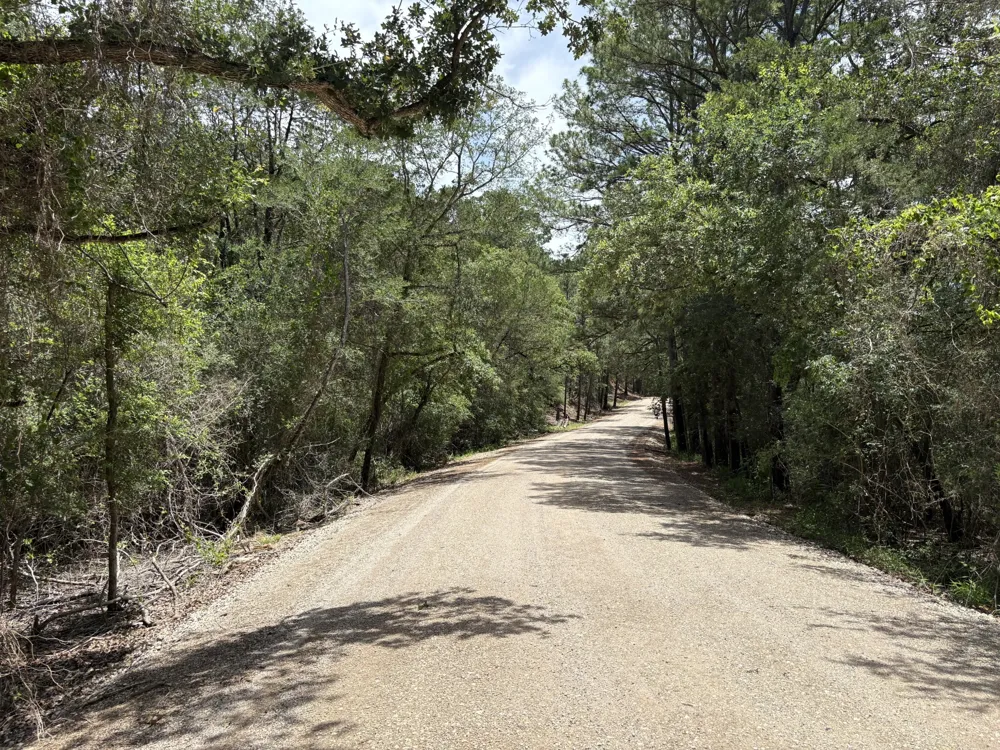 1228 Hanauma Drive Bastrop, TX 78602