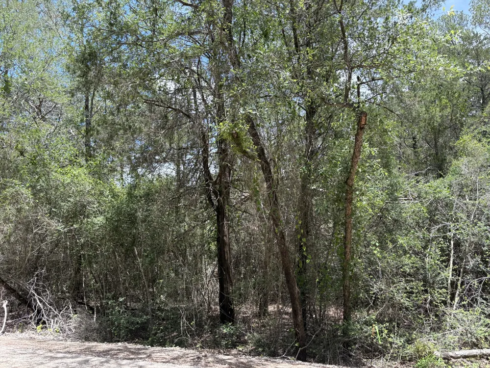 1228 Hanauma Drive Bastrop, TX 78602