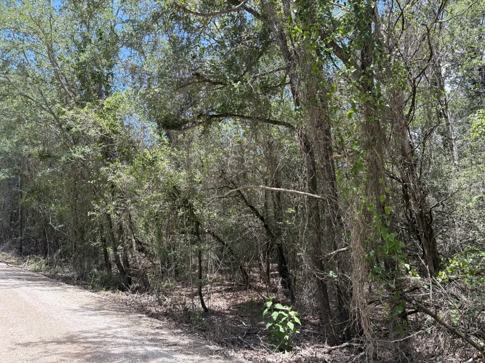 1228 Hanauma Drive Bastrop, TX 78602