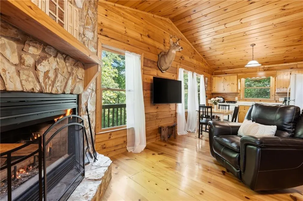 156 Dupont Drive Blue Ridge, GA 30513