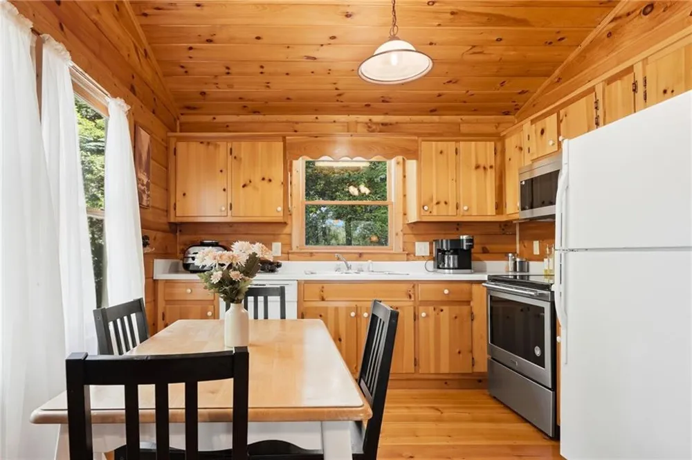 156 Dupont Drive Blue Ridge, GA 30513