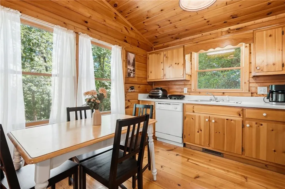 156 Dupont Drive Blue Ridge, GA 30513