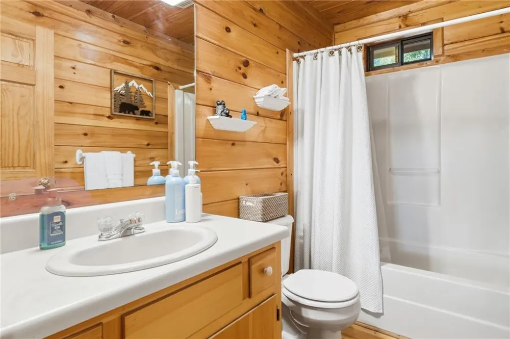 156 Dupont Drive Blue Ridge, GA 30513