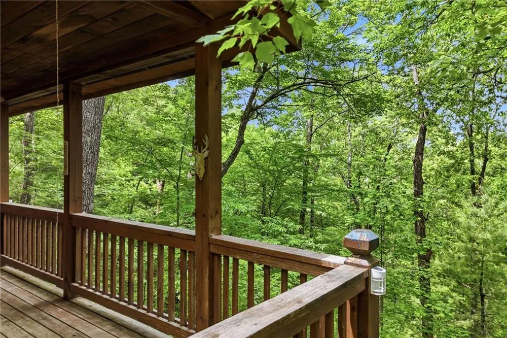 156 Dupont Drive Blue Ridge, GA 30513