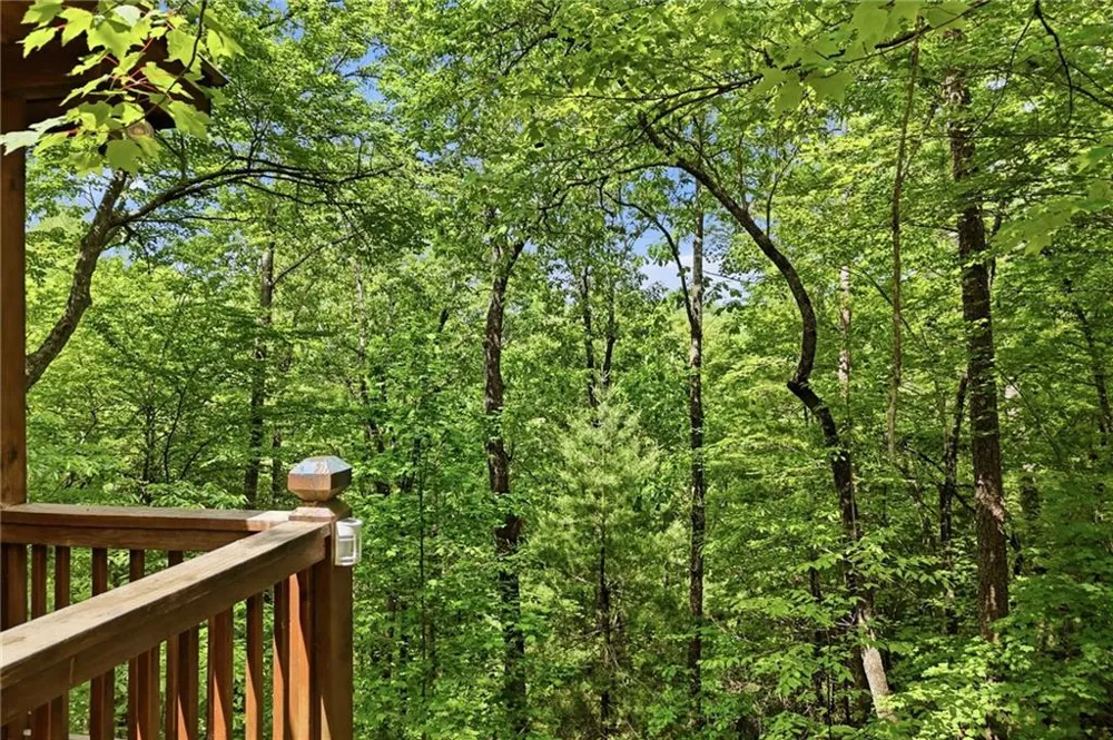 156 Dupont Drive Blue Ridge, GA 30513