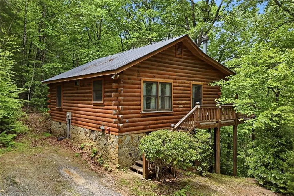 156 Dupont Drive Blue Ridge, GA 30513