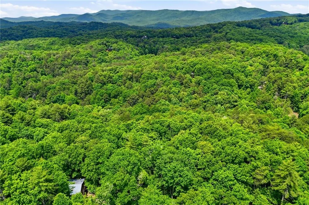 156 Dupont Drive Blue Ridge, GA 30513