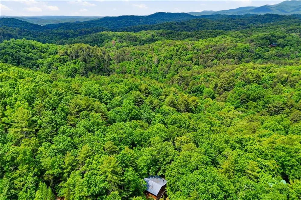 156 Dupont Drive Blue Ridge, GA 30513