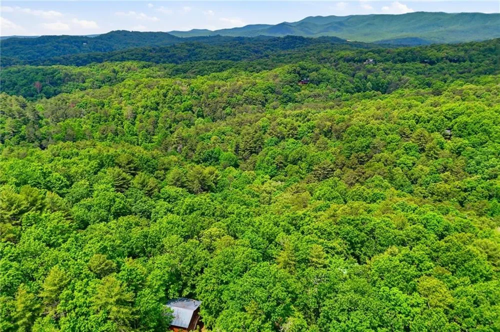 156 Dupont Drive Blue Ridge, GA 30513