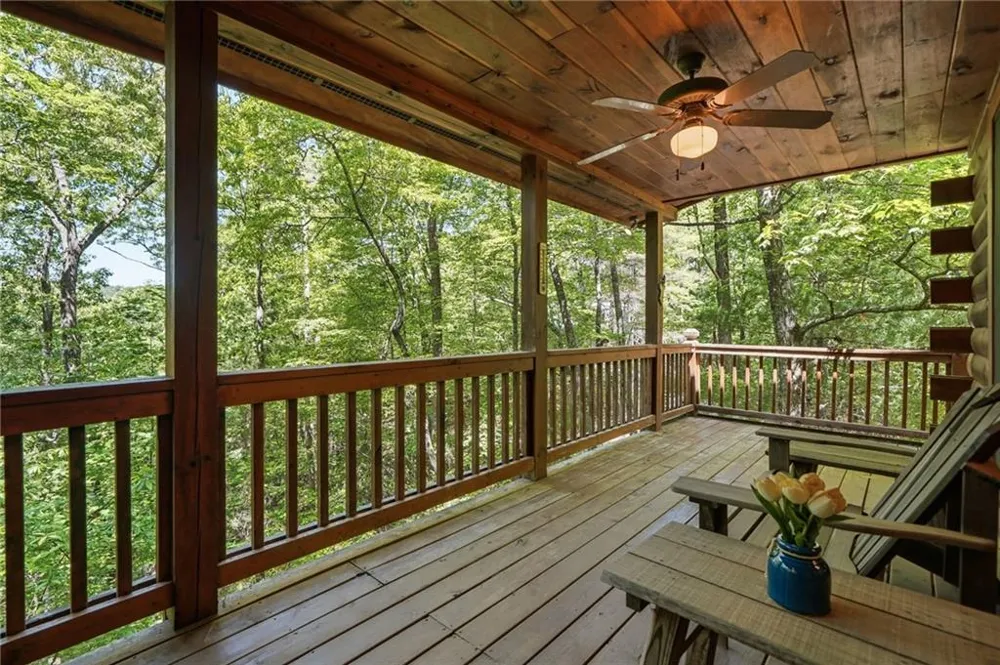 156 Dupont Drive Blue Ridge, GA 30513
