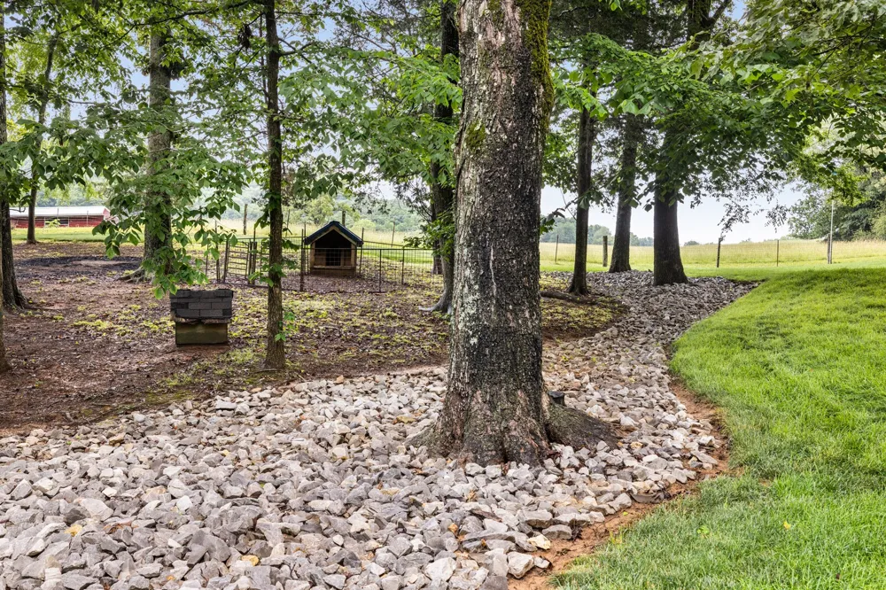 380 Webbs Camp Rd Walling, TN 38587