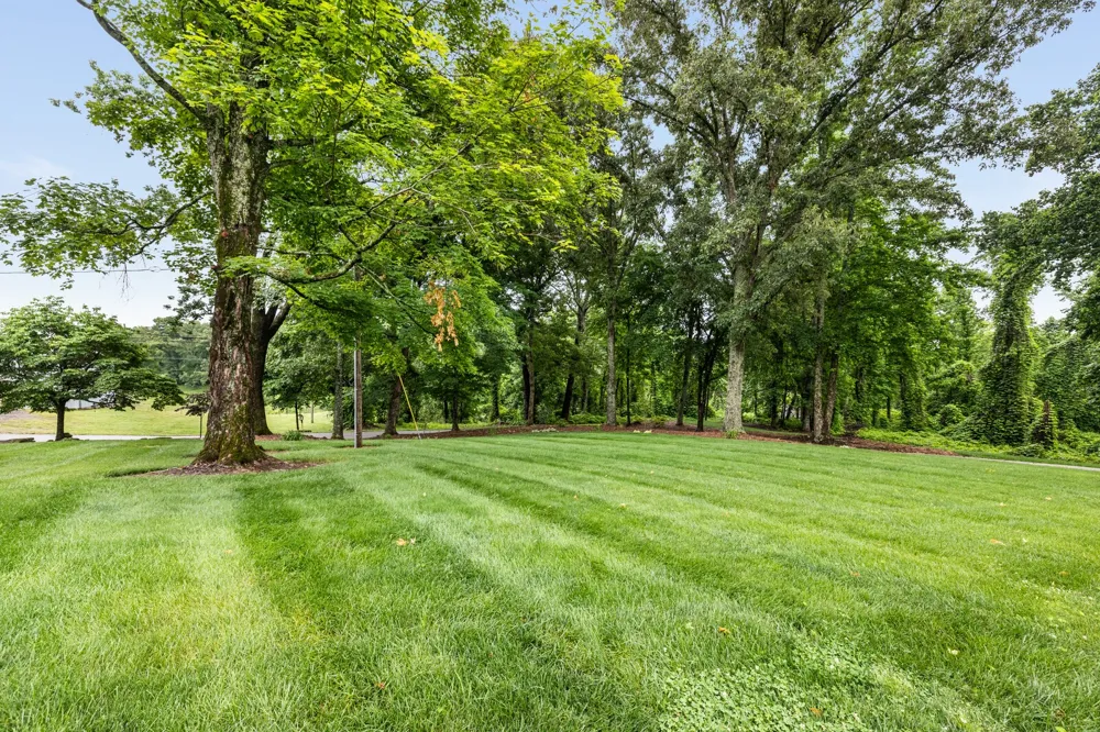 380 Webbs Camp Rd Walling, TN 38587