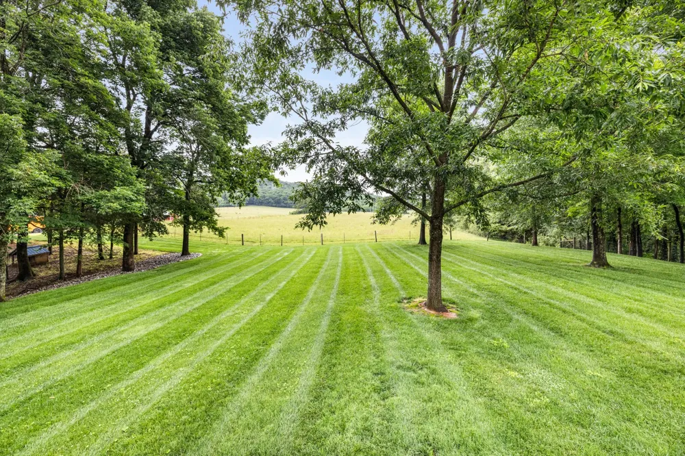 380 Webbs Camp Rd Walling, TN 38587