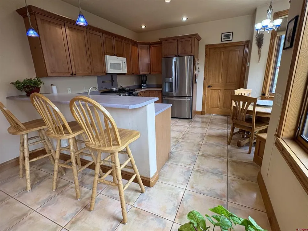 1122 Reese Street Silverton, CO 81433