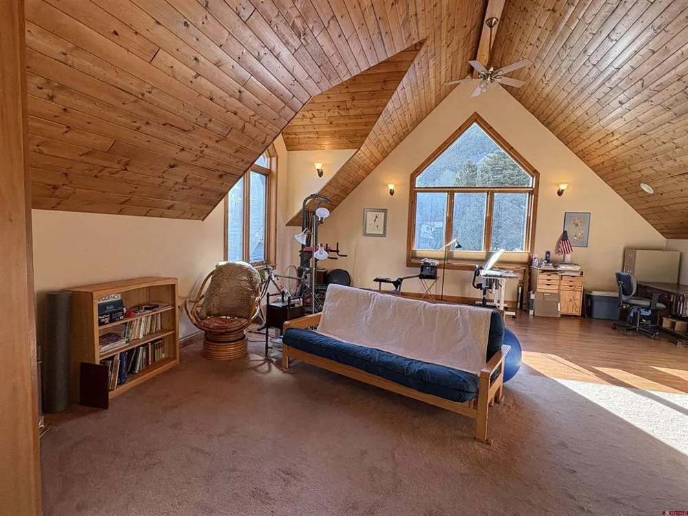 1122 Reese Street Silverton, CO 81433