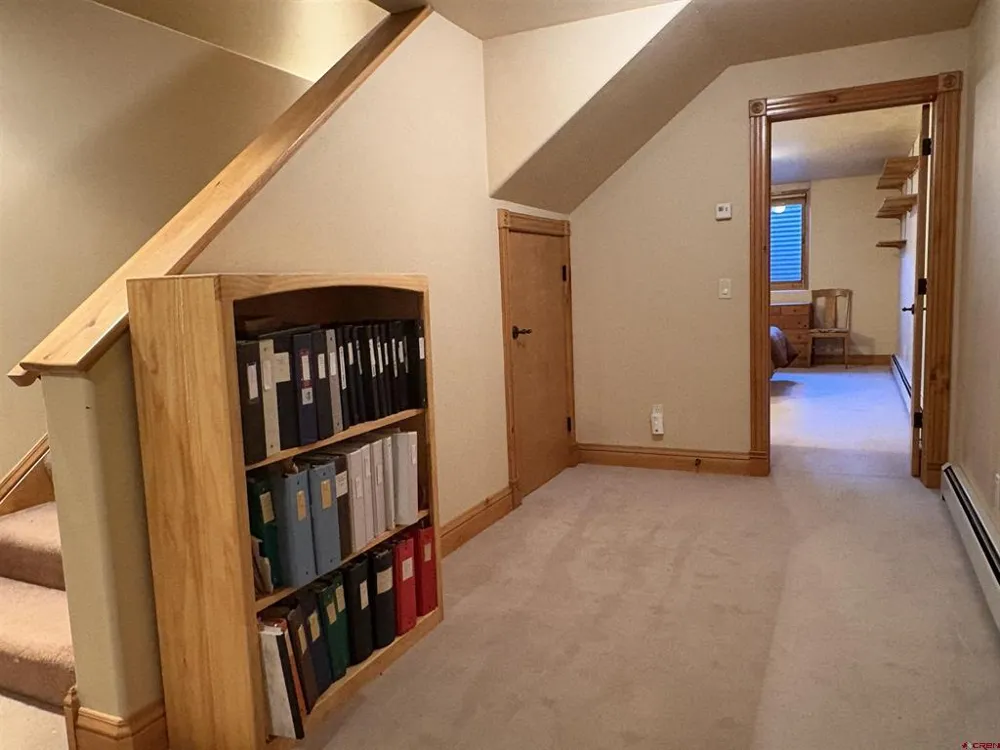 1122 Reese Street Silverton, CO 81433