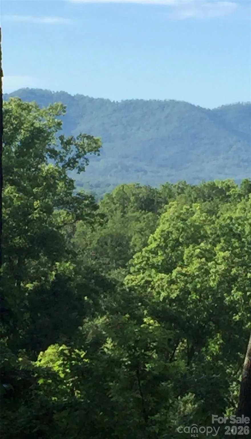 20 La Grange Drive Asheville, NC 28805