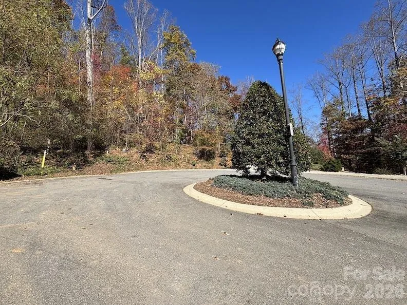 20 La Grange Drive Asheville, NC 28805