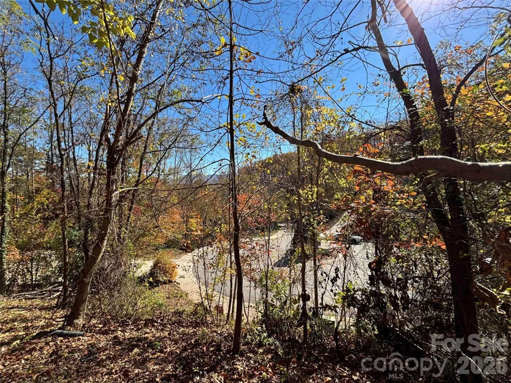 20 La Grange Drive Asheville, NC 28805