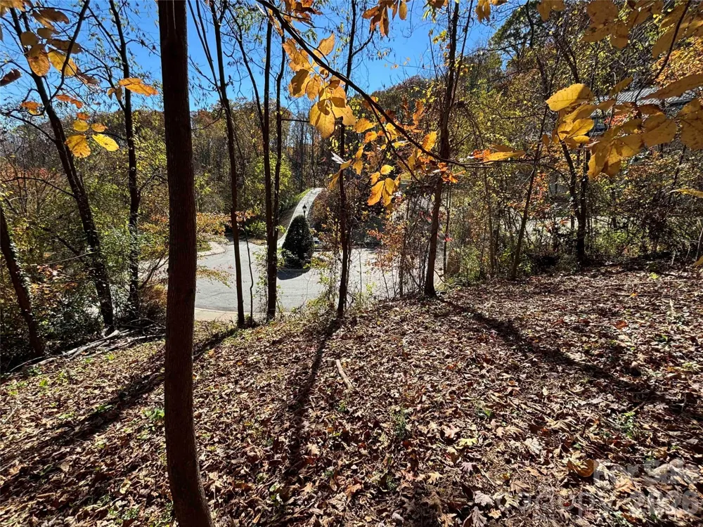 20 La Grange Drive Asheville, NC 28805