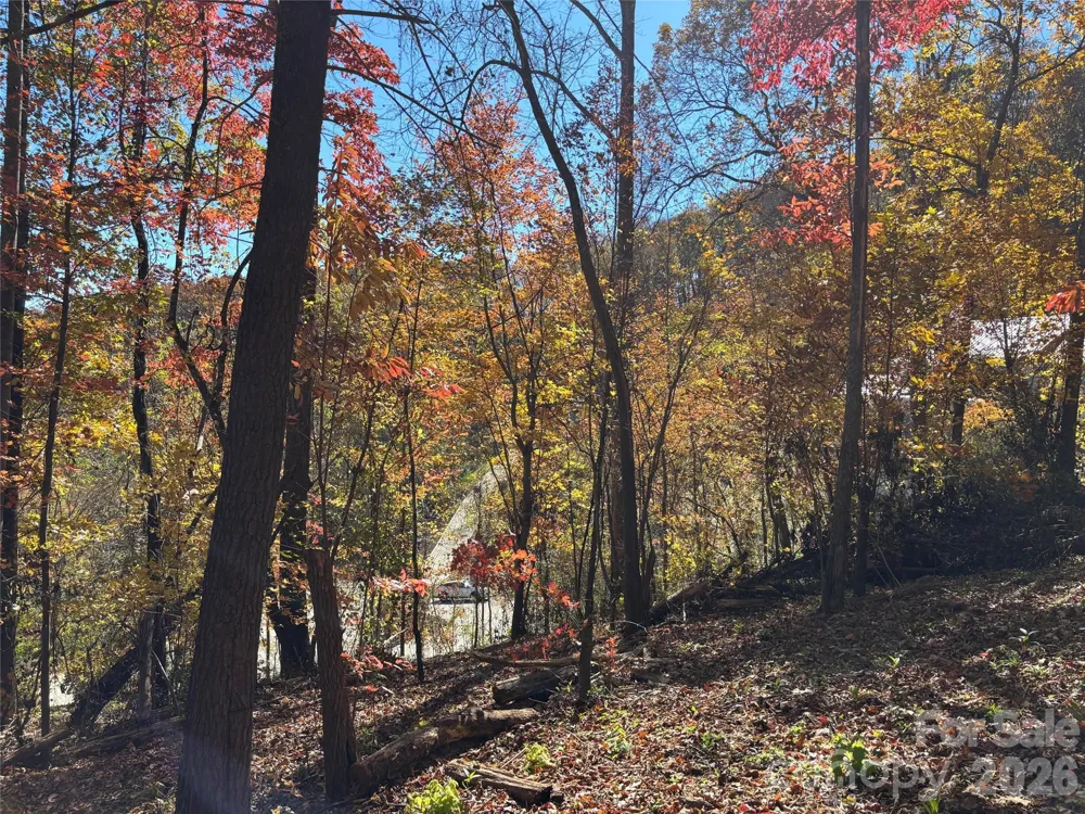 20 La Grange Drive Asheville, NC 28805