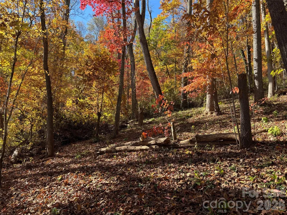 20 La Grange Drive Asheville, NC 28805