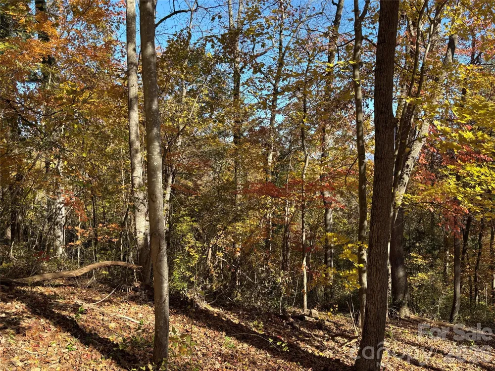 20 La Grange Drive Asheville, NC 28805
