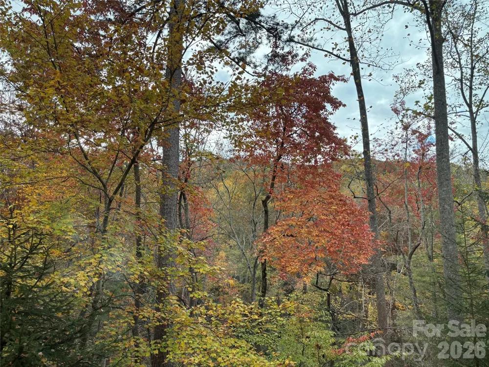 20 La Grange Drive Asheville, NC 28805