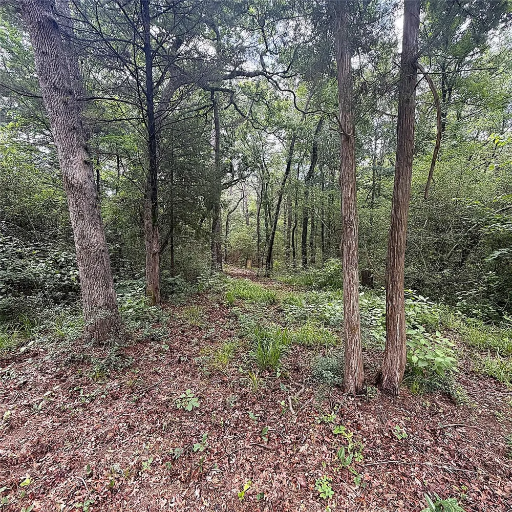 8788 Pr 1215 Centerville, TX 75833