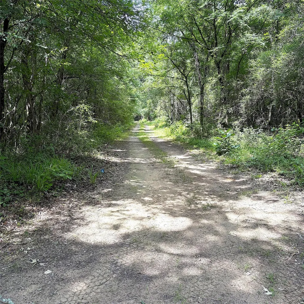 8788 Pr 1215 Centerville, TX 75833