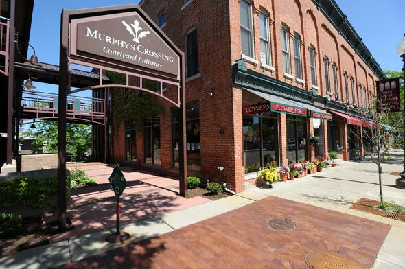 222 Monroe Street Saline City, MI 48176