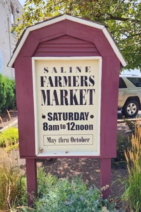 222 Monroe Street Saline City, MI 48176