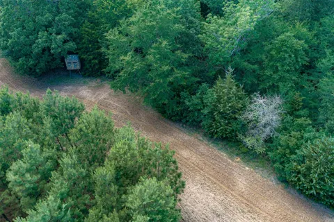 600 Anderson County Road 2805