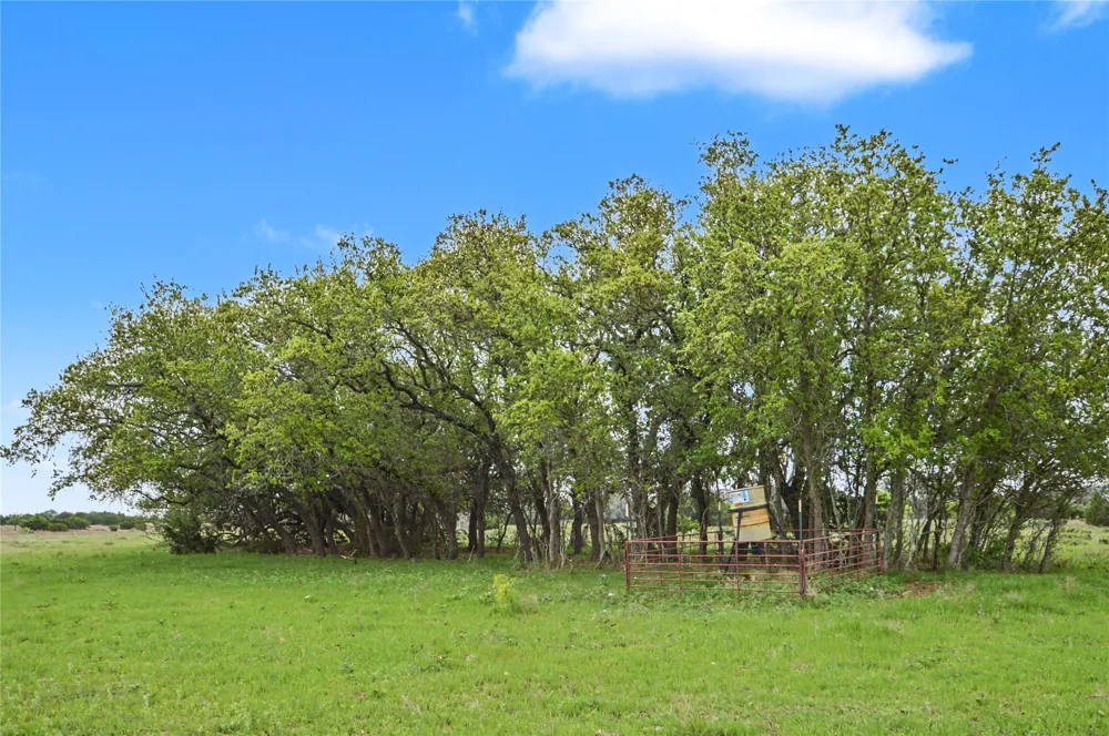 1312 Fm 581 Highway E Lometa, TX 76853