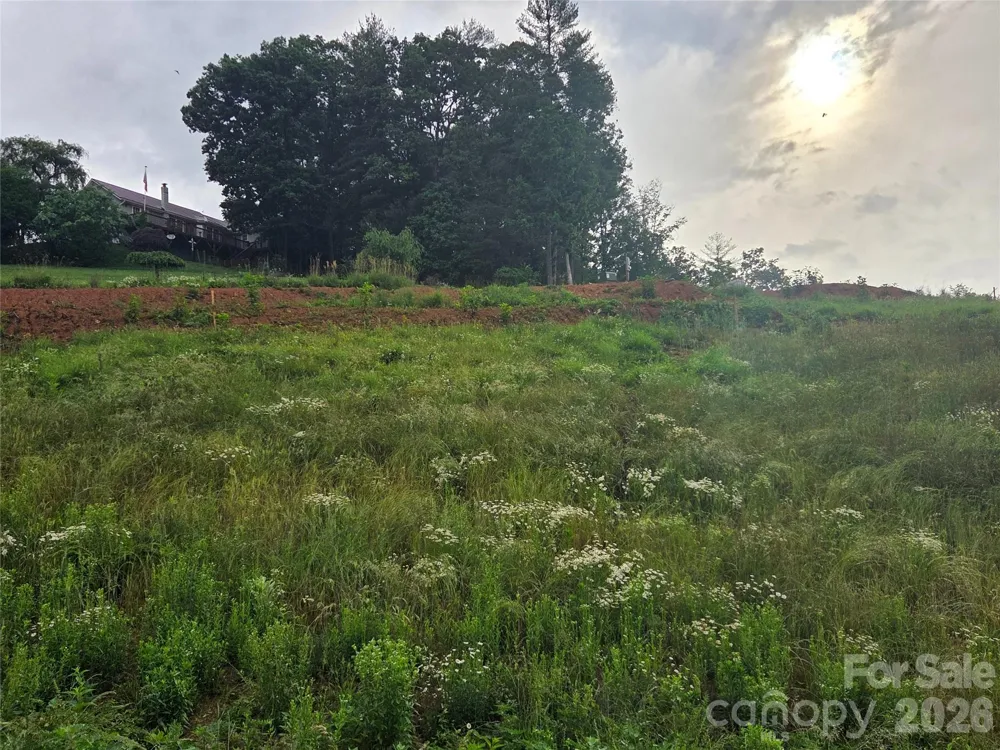 248 Big Branch Drive #2B Mars Hill, NC 28754