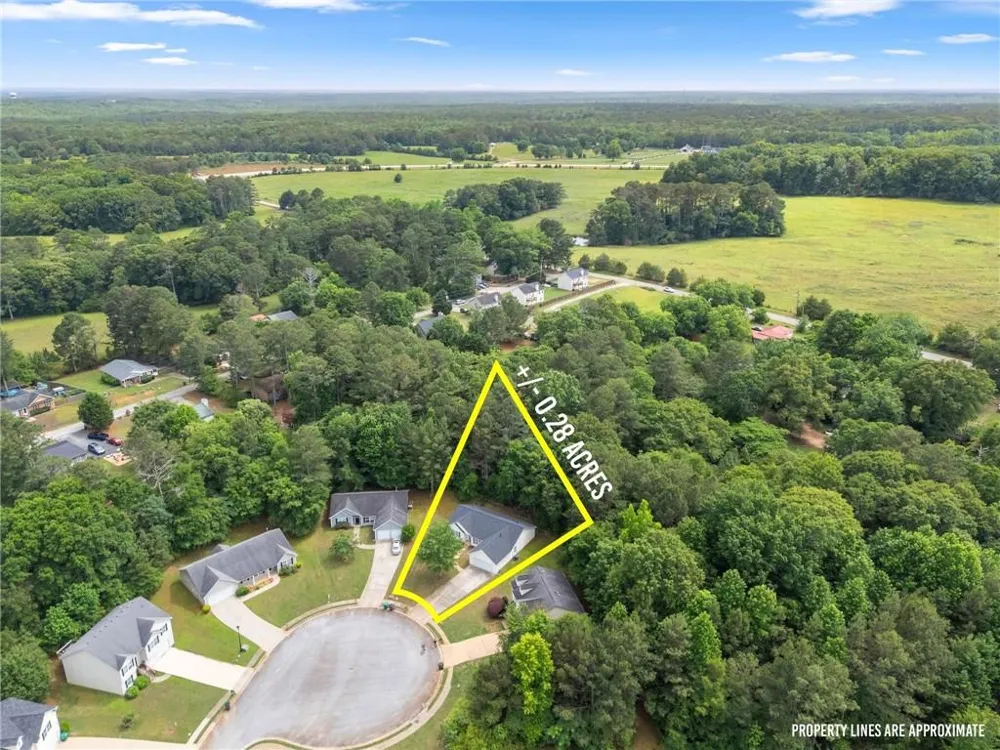 216 Cane Avenue SE Social Circle, GA 30028