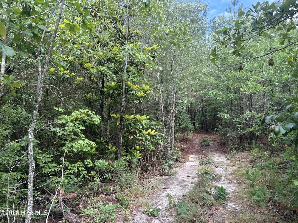 0 E V Hogan Drive Rockingham, NC 28379